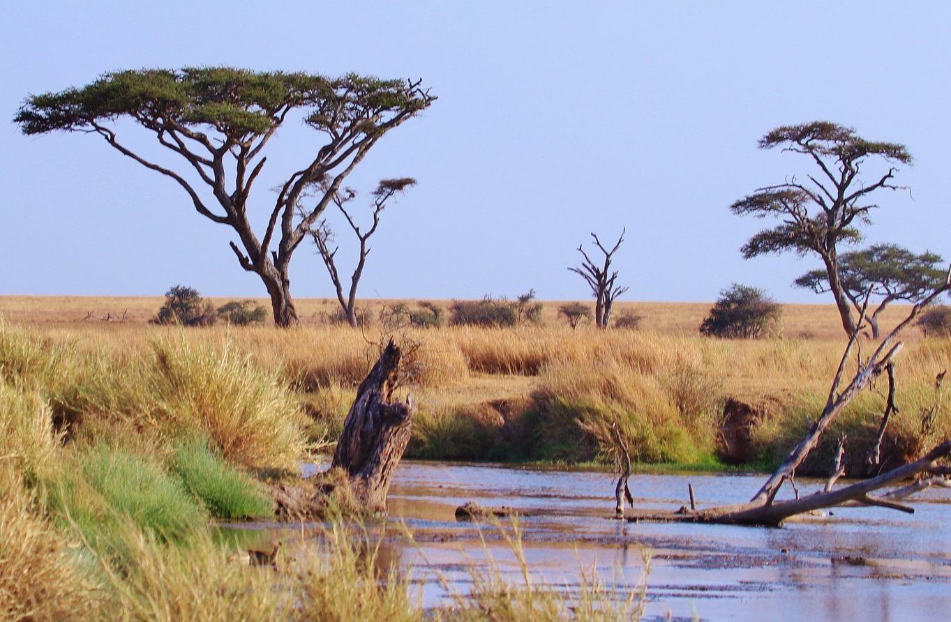 tanzania-278367_1920